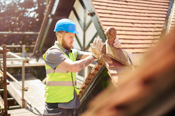 Best Roof Leak Repair  in Mcgraw, NY