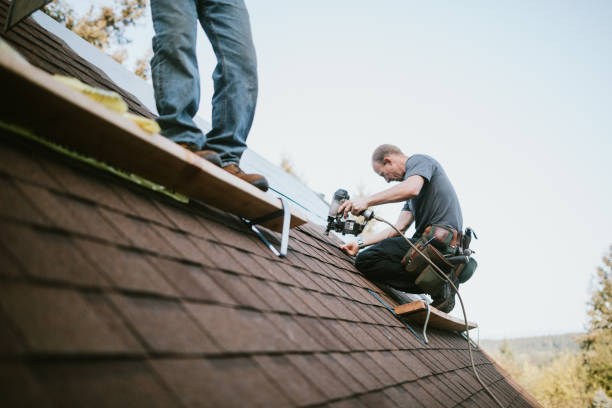 Best Storm Damage Roof Repair  in Mcgraw, NY
